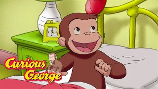 How do Animals Hibernate? 🐵 Curious George 🐵 Kids Cartoon 🐵 Kids Movies