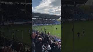 Der 2:1 Treffer des SV Waldhof!