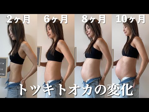 mamaと娘が頑張った証【妊娠〜出産までのお腹の変化】