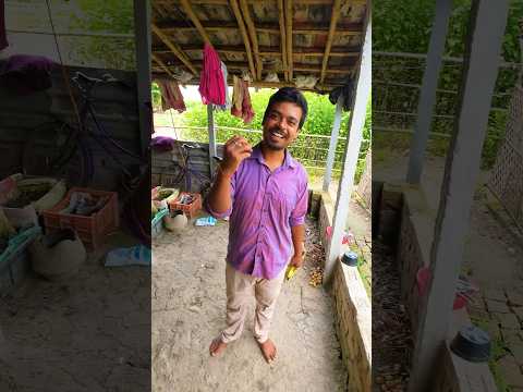 তুমি কখনো আমার পদবীতে  আসতেই চাওনি #shorts