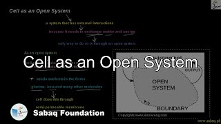 Cell as an Open System