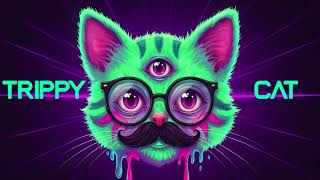 Trippy Cat Melodic Techno Summer Mix 2025