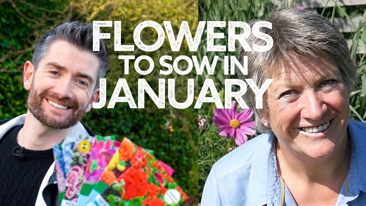What Flowers To Sow in January with Liz Zorab | Flowers to Sow in Winter | Seeds for Early Flowers