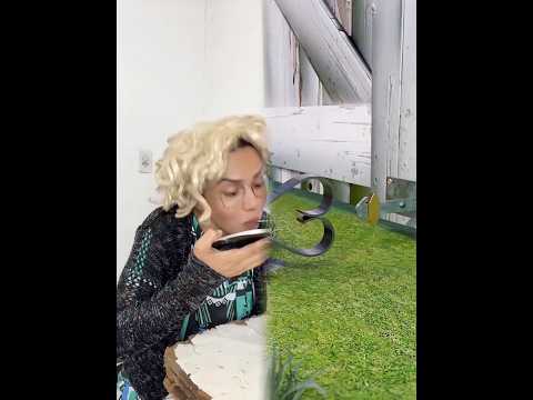 No jantar de família minha irmã se levantou e disse vc não é mais da família @🐈 #humor #dublagem