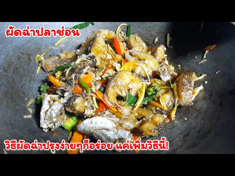 แค่เพิ่มวิธีก็ผัดฉ่าให้อร่อยได้ง่ายๆผัดฉ่าปลาช่อนบอกวิธีผัดย