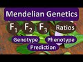 Mendel's Genetics and Ratios