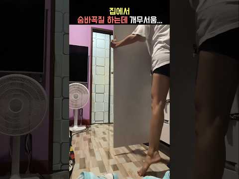 집에서 같이 숨바꼭질 한 번 씩 다 해봄ㅋㅋㅋ