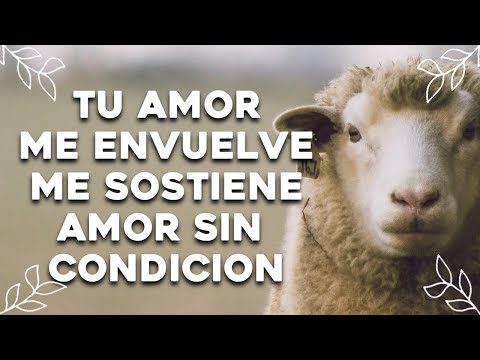 ALABANZAS PARA COMENZAR EL DIA BENDECIDO - MUSICA CRISTIANA DE ADORACION - HIMNOS CRISTIANOS