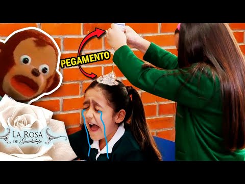 LA NIรA LOCA ๐ฑ LA ROSA DE GUADALUPE