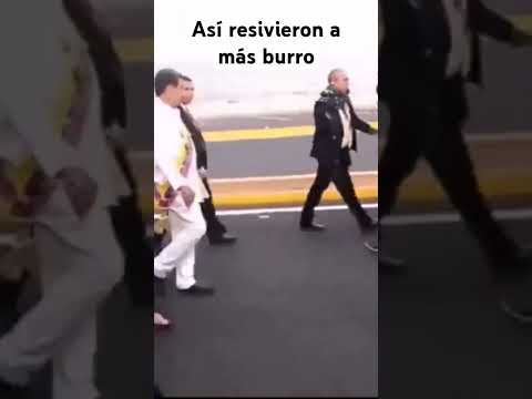 Así resivieron a Más Burro  WhatsApp Nicolás Maduro #whatsappstatus #whatsapp #noticias #venezuela