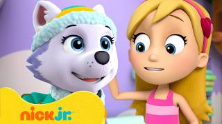 Patrulha Canina | Unisciti a Katie e Cali in 90 minuti di salvataggi! | Nick Jr. em Português