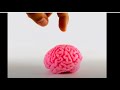 Understanding Optical Illusions
