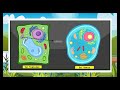 Cell Organelles and Their Functions