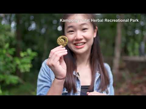 Brunei Muara Destination Packages 2022 - Full Video