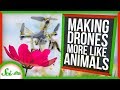 Drone Technology Inspired by Nature