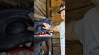 YES! Adults can also enjoy meeting Toothless! #shorts #dragon