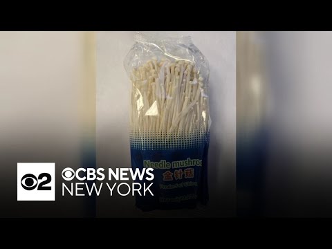 YouTube video thumbnail: New Jersey-Based Company Recalls Needle Mushrooms Over Listeria Concerns