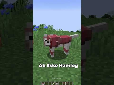 Mojang Pls Hire Me...