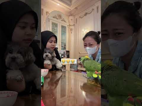 Sasha Sama Emi Emang Gak Bisa Akur Nih 😅😂🤣