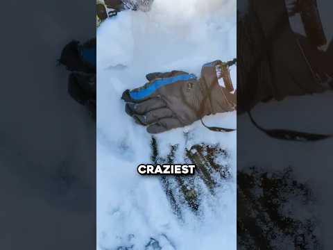 The Craziest Thing Found Frozen In Ice 🤯
