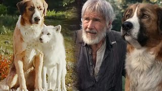 Dogs are not just pets. More often, they are family members.