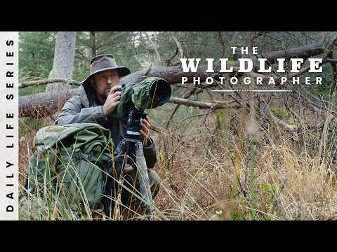 3 Days Winter Camping and Bird Photography from Photo Blind