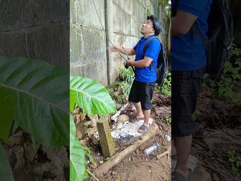 Ada anjing #komedi #comedy #funny #lucu