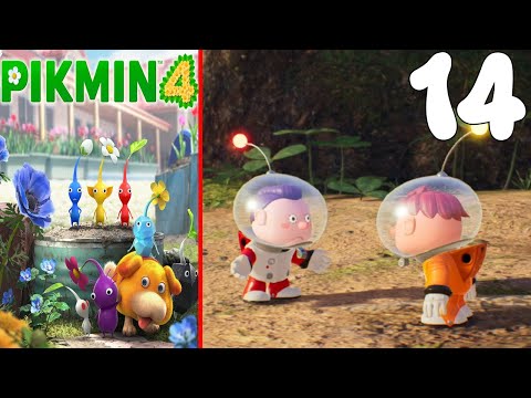 ENTRENAMIENTO DANDORI! Pikmin 4! LOS SOLDADITOS PELEONES! Capitulo 14!