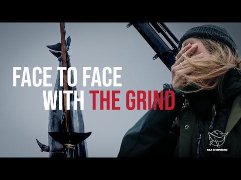 No Escape: A Volunteer’s Account of the Grind