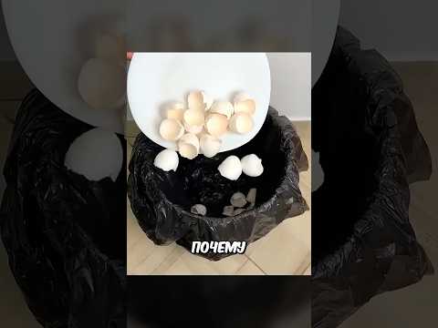 Не Выбрасывай Яичную Скорлупу! #shorts