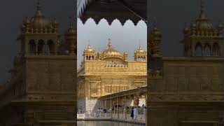 ♥️💞❣️🙏🏻💞♥️💗🌸♥️❣️🙏🏻💞♥️🌸💗#satnamwaheguru #gurbani #gururamdasji #amritsar #shortsfeed