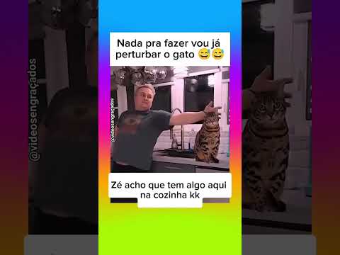 Tadinho 😂😂#humormemes #memes #fyp