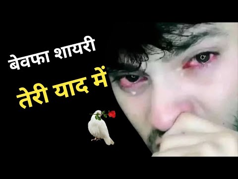 तेरी बेवफा में दर्द भरी शायरी || S Name Sad Shayari || Sad Shayari || 2025