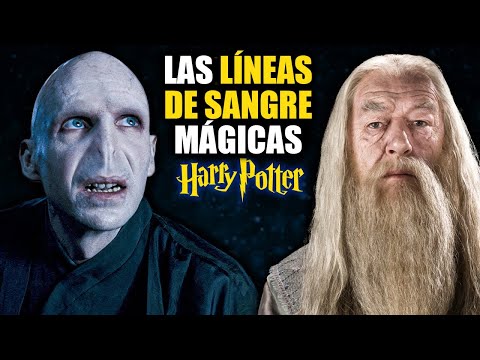Las LÍNEAS DE SANGRE en Harry Potter - Harry Potter Explicado