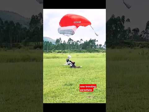 new training parachute skating #music #beach #love #travel #edm #paraglide #paragliding #musicgenre