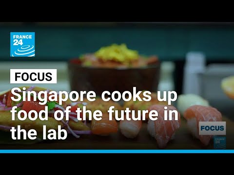 YouTube video thumbnail: In Singapore, the Food of the Future is Being Cooked up in a lab