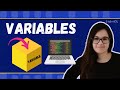 Understanding Variables in Programming