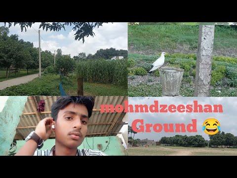 Ground  mein aaya cricket khelne bahut dhup tha😰😰😰😂 mohmdzeeshan full video 📸🍃
