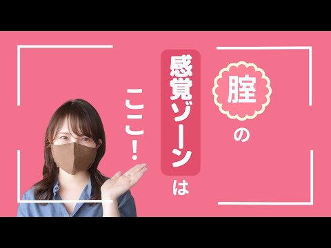 女性も知らない【本当の感覚ゾーン】腟の構造について