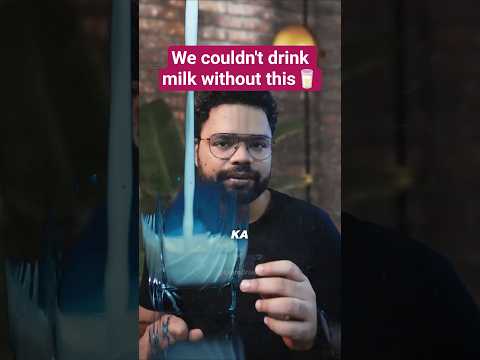 Why Humans can still drink milk 🥛