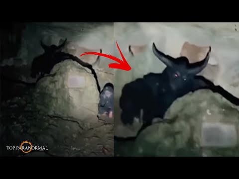 12 Videos de TERROR REAL que Desafían Toda Lógica /Fantasmas y Criaturas Captados en Cámara Parte 19