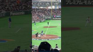 WBC 2026/3/7 🇹🇼VS.🇨🇿 張育成第五打席中外野飛球接殺出局！！！！#張育成#teamtaiwan #東京巨蛋