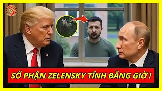 Putin Cầm Bài Tẩy Tới Alaska Cân Não Trump: Zelensky Tới Số ?!  |  Kiến Thức Chuyên Sâu