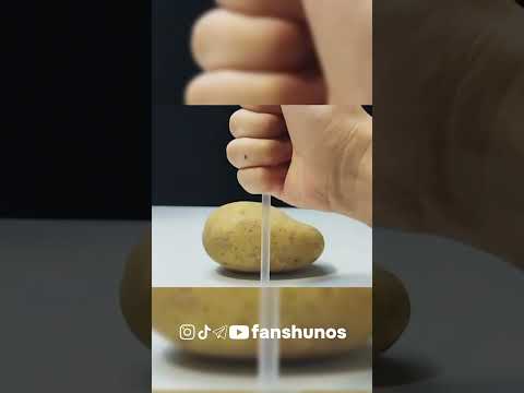 Telegram @jamiyatshunos #livehack #uzbekistan #instagram #youtube #shortvideo #usa #china #korea