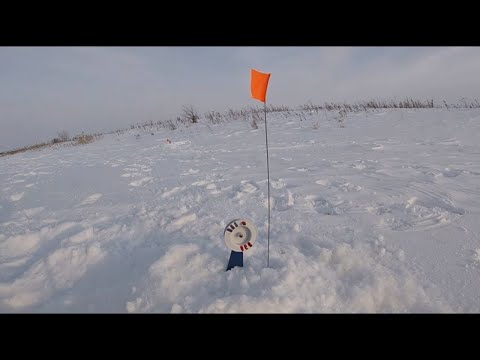 РЫБАЛКА НА ЖЕРЛИЦЫ! ЗИМНЯЯ УХА НА КОСТРЕ!