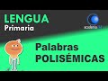 Understanding Polisemic Words and Meanings