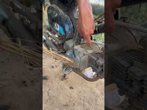 Awesome idea ? when you camping