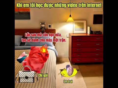 Khi tôi đã học những thứ... #meme #cat #pets
