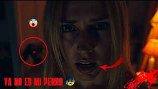 Verdad muy aterradora " Ya no es mi perro " Historia de terror | sonido de lluvia