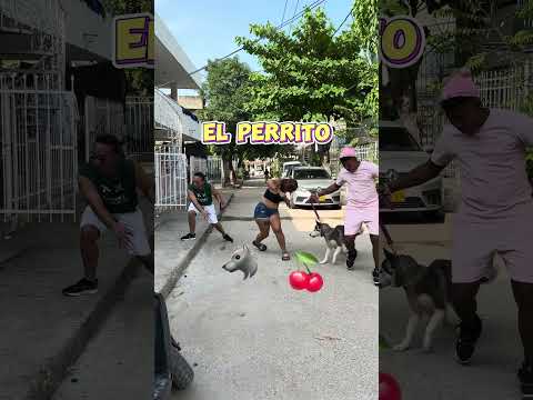 El Perrito fresa 8🐺🍓#broma #bromas #perro #perros #shortviral #viralvideo #comedy #humor #husky